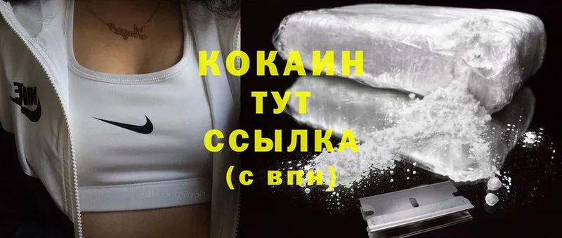 закладка  Ирбит  mega ссылка  Cocaine 99% 